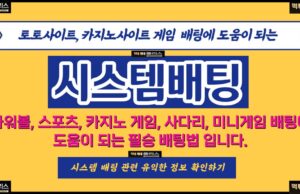 시스템배팅 시스템배팅