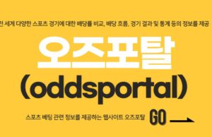 오즈포탈 오즈포탈