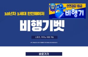비행기벳 비행기벳